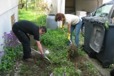 Bild15